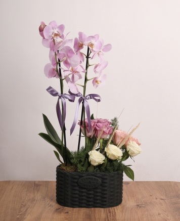 Pastel Ahenk � �ift Dall� Pembe Orkide ve G�l Aranjman�