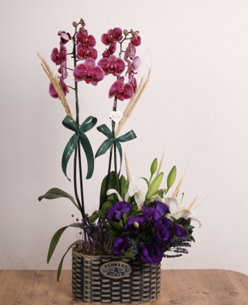 Sar� I��k � Tek Dall� Sar� Orkide Aranjman�