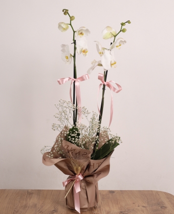 Zarif Beyaz � �ift Dall� Beyaz Orkide Aranjman�